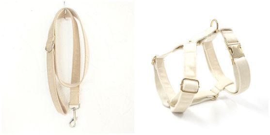 Dog collar traction rope (Option: Set-XL)